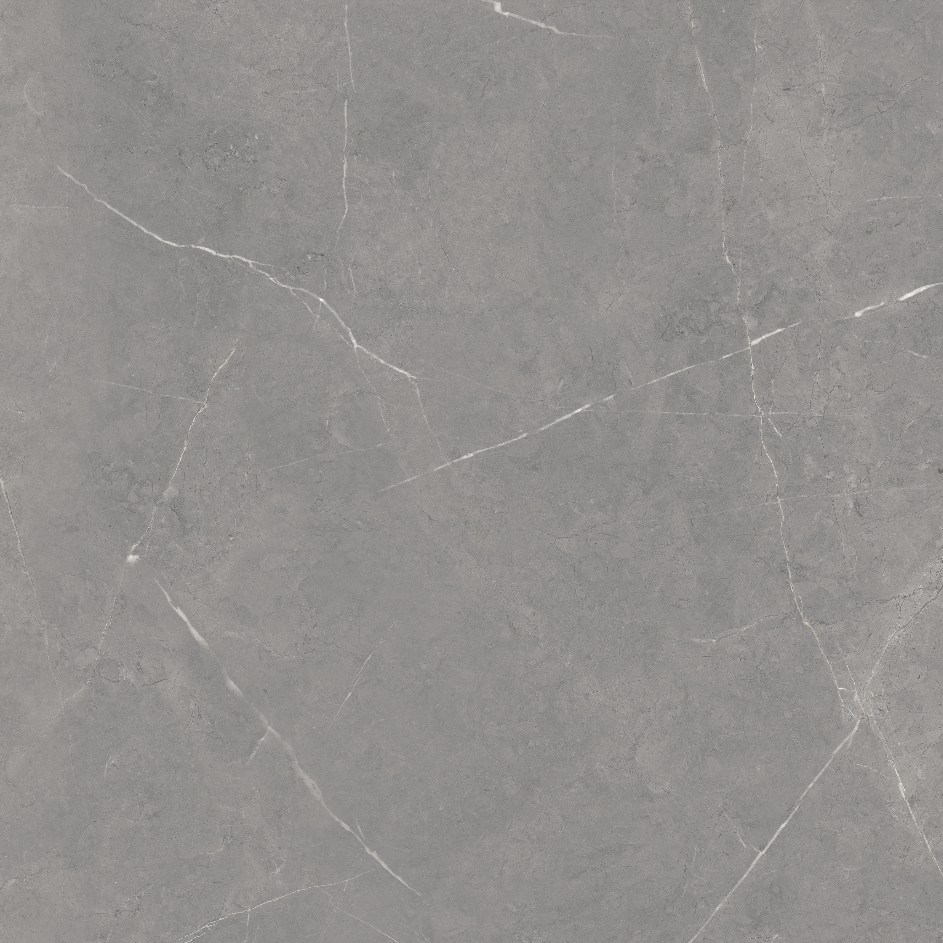 Gạch PIETRA GRIS 100x100